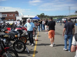 paddock