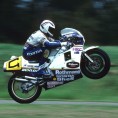 WayneGardner wheelie