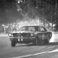 Norm Beechey's '64 Mustang