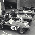 Shelby Racing Cobras