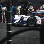 2014 24 Hours of Le Mans Atmosphere