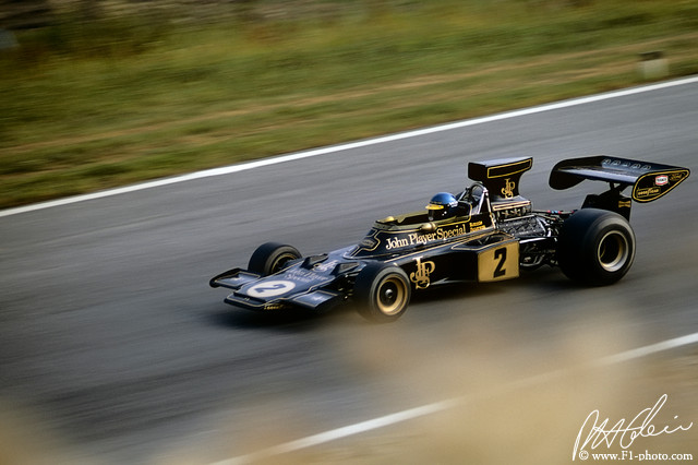f1 1973