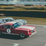 73rd Goodwood Members Meeting